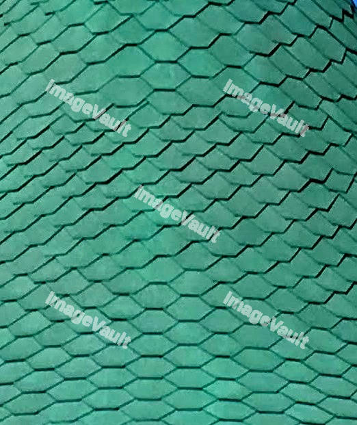 Green Scales